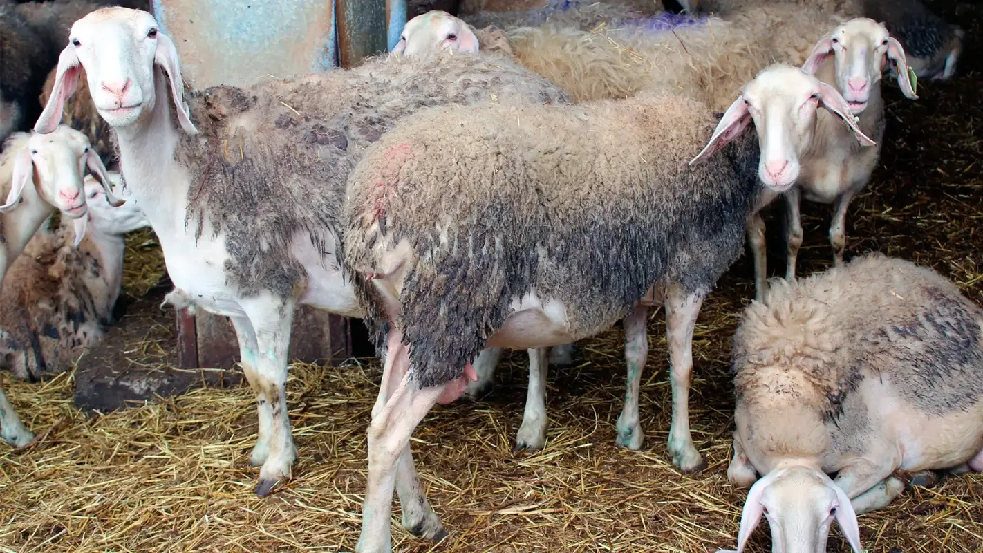 Herdade da Rangina Nova testimonial