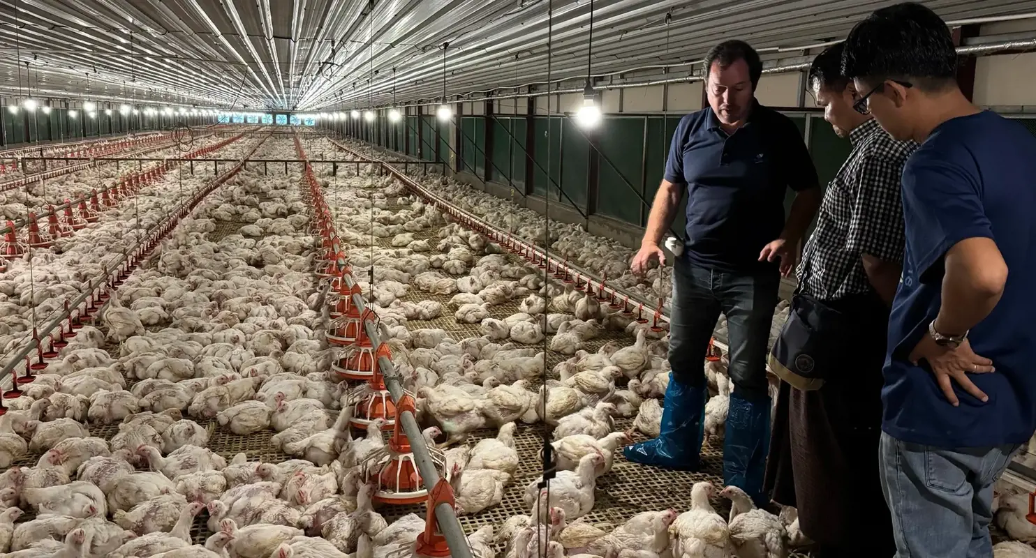 Eng.º Fernando Fonseca testimonial